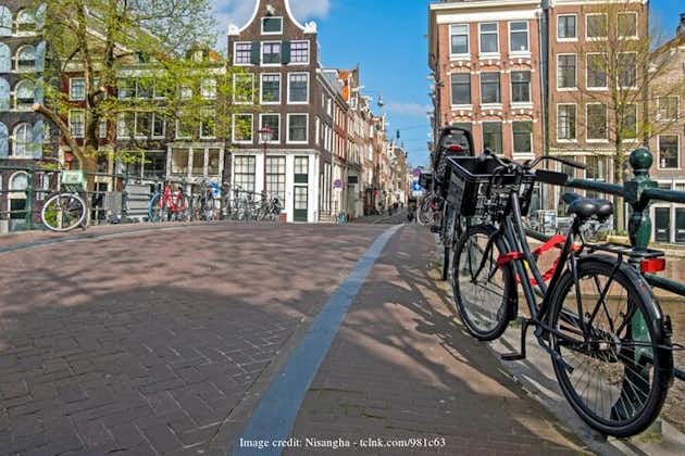 Le meilleur d'Amsterdam : visite privée d'une journée complète avec une croisière sur les canaux