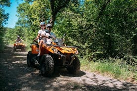 Tour ATV della campagna di Dubrovnik e dell'arboreto con brunch