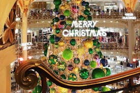 Paris julbelysningar + pariserhjulstur och semestermarknaden privat tur