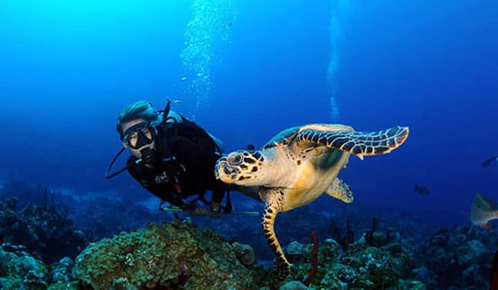 Experiencia de Buceo (Discover scuba diving)