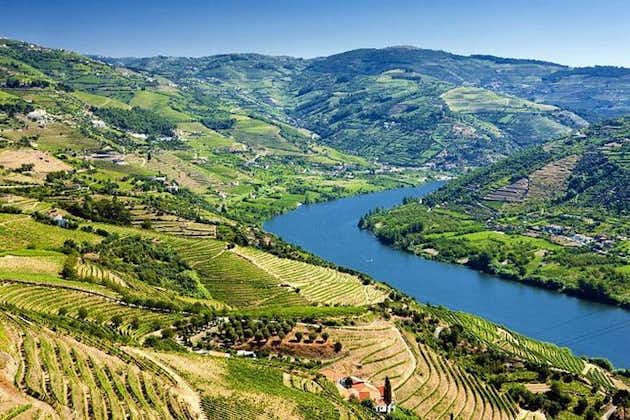 Heildarvínferð um Douro-dal með hádegismat, vínsmökkun og skemmtisiglingu um ána