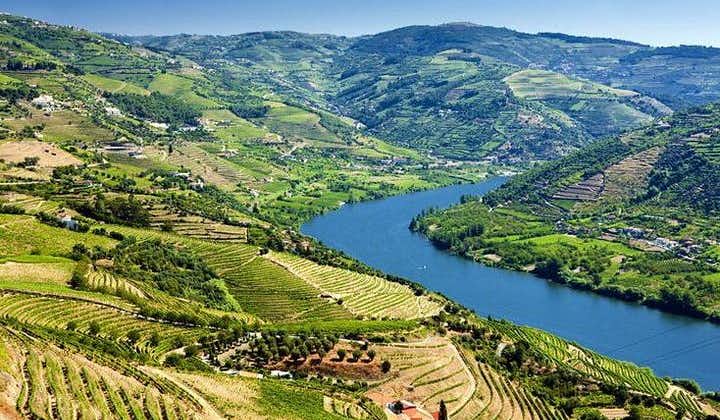 Douro Valley Wine Tour with Lunch, Wine Tastings, and River Cruise