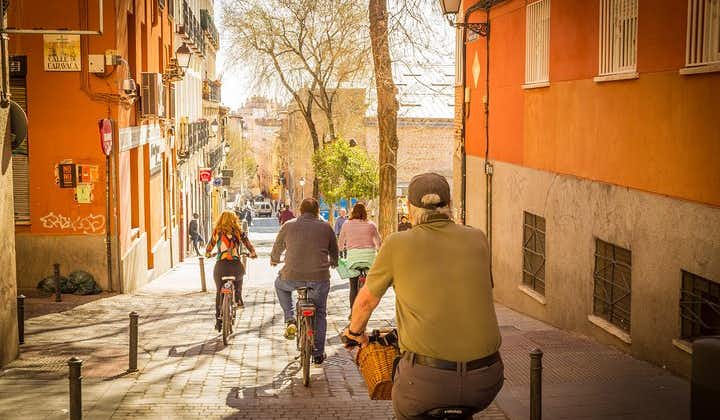 Private Guided Bike Tour in Madrid 