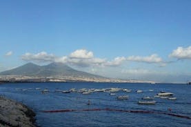 Transferência da área de Salerno para Nápoles com uma parada de 2 horas em Pompéia (1-8 PAX)