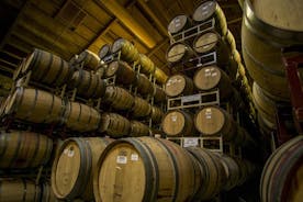 파도바의 개인 와인 및 올리브 오일 투어 및 온천탕
