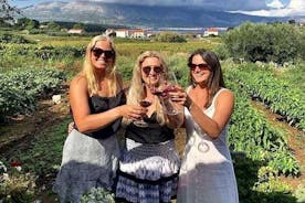 Tour del vino Korčula - tour privato