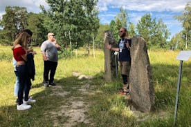 Excursión privada de medio día: viaje histórico de Viking desde Estocolmo que incluye Sigtuna
