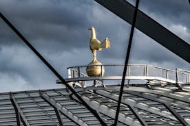 The Dare Skywalk Climb at Tottenham Hotspur Stadium in London