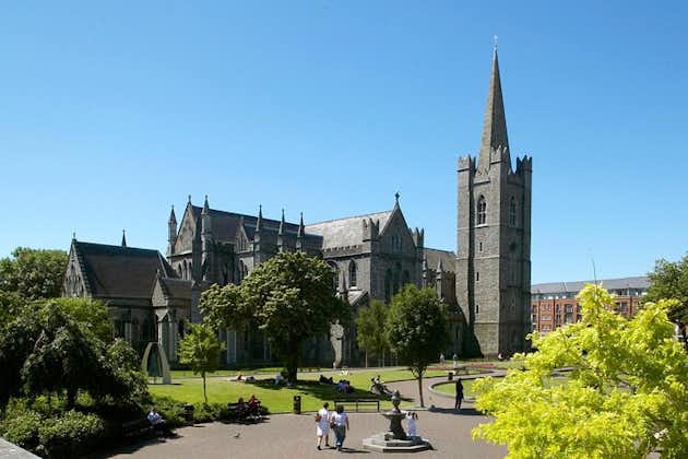 Tour delle attrazioni di Dublino, con visita alla Cattedrale di San Patrizio con saltafila