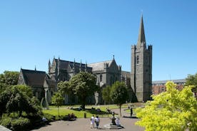 Visite des monuments de Dublin incluant la cathédrale Saint-Patrick avec billet coupe-file