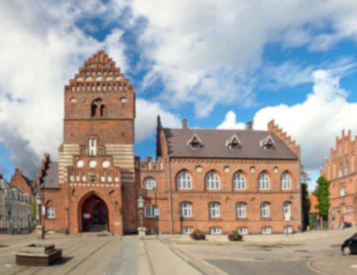 Bedste pakkerejser i Roskilde, Danmark