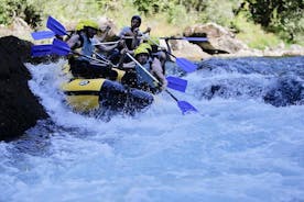 Tour di rafting in acque bianche del fiume Tara di un'intera giornata da Kotor