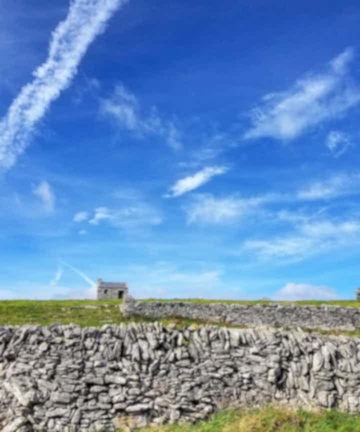 Udflugter og billetter i Aranøerne, Irland