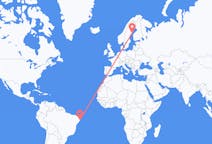 Flyreiser fra Recife, Brasil til Umeå, Sverige