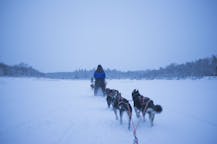 Paseos en trineo tirado por perros en Rovaniemi, Finlandia