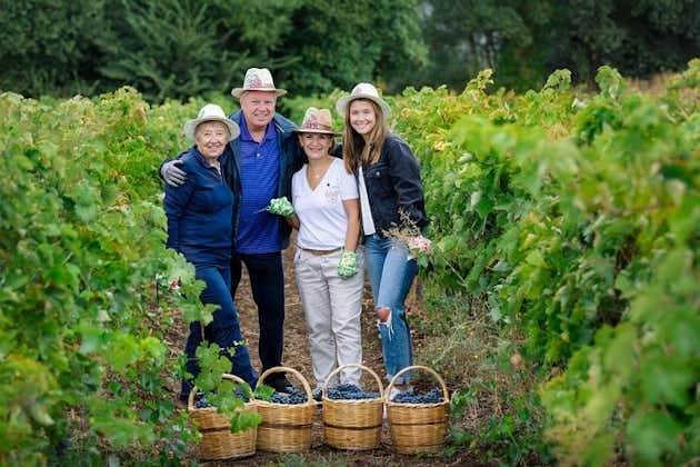 Private Full-Day Harvest Wine Τour in Athens