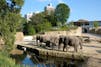 Cologne Zoological Garden travel guide