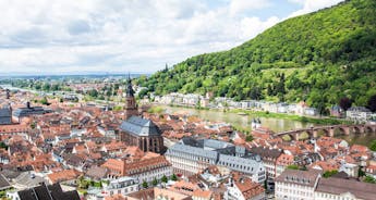 The Romantic Rhine Valley and the Rock of Lorelei (port-to-port cruise) - BEETHOVEN