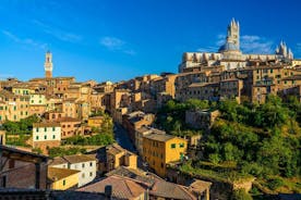 Private Tuscany Tour from Florence Including Siena, San Gimignano and Chianti Wine Region