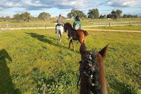 Experiência de passeio a cavalo em Aljarafe, parque Doñana saindo de Sevilha