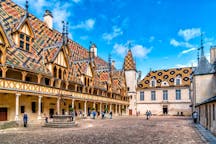 Guided day trips in Beaune, France