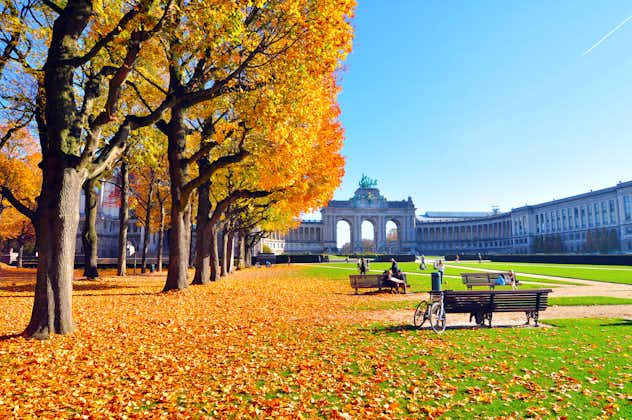 Photo of Autumn scenery in Jubilee Park (Parc du Cinquantenaire) with the Triumphal Arch and golden trees at the end in Brussels, Belgium.