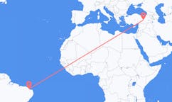 Flyreiser fra Aracati, Brasil til Elazığ, Tyrkia