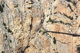 Guided Tour to Caminito del Rey from Malaga 