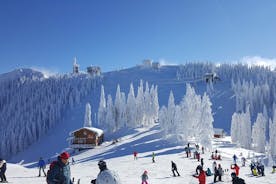 Poiana Brasov Ski/Snowboard Lessons
