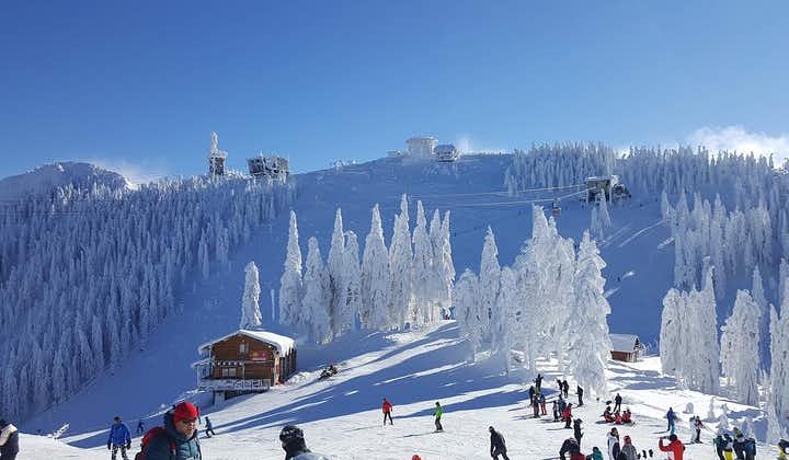 Lecciones de esquí / snowboard de Poiana Brasov