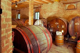 葡萄酒之旅和Le Marche最古老的葡萄酒庄园品酒会