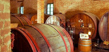 르 마르케 (Le Marche)에서 가장 오래된 와인 단지에서의 와인 투어 및 시음