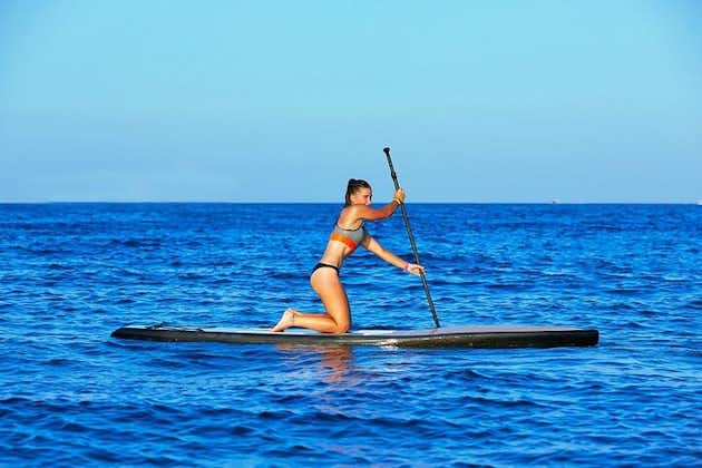 Expérience privée de paddleboard sur l'eau