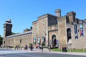 Private Doctor Who Day Tour of South Wales - Castles, Cardiff, and Doctor Who!