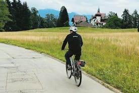 Tour en bicicleta eléctrica por la península del lago de Lucerna