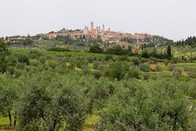 시에나 (Siena)와 산 기미 그 나노 (San Gimignano) 전용 VIP 투어 (와인 시음 & 중식)