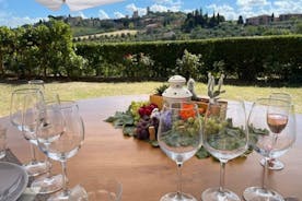 Vin- og Evo-oliesmagning med toscansk måltid