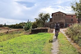 Bardolino 的电动自行车之旅和品酒会