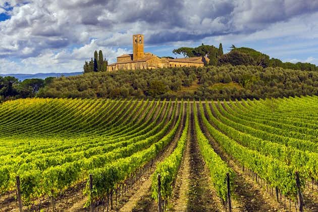 From Florence: Siena and Chianti WineTour 2 Wineries & Lunch 