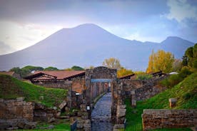 From Rome Vesuvius and Pompeii Guided Day Trip with Lunch