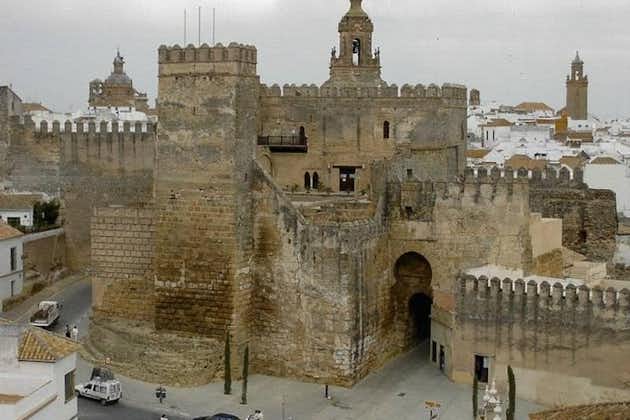 Visite privée de 5 heures de Carmona et de Séville au départ de Séville