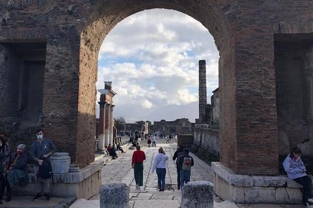 Privétransfer van Napels naar Sorrento met een stop in Pompeii