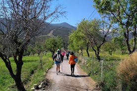 Sierra de Aracena: Ihmeiden luola, vaellus ja ekologinen piknik.