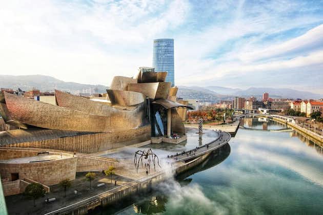 Guggenheim Bilbao Museum privat rundvisning