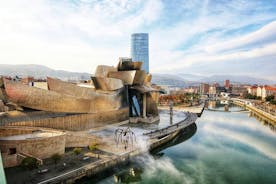 Guggenheim Bilbao Museum privat rundvisning