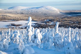 photo of beautiful white winter of frozen lake, mountain at Ylläs Lapland, Finland.