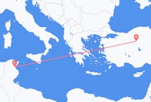 Flyrejser fra Enfidha, Tunesien til Ankara, Tyrkiet
