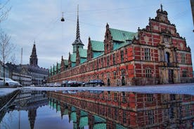 Private - Royal Tour of Copenhagen - Live Guided