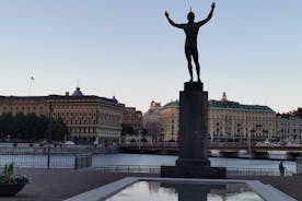Private Stockholm Top attractions all-inclusive Gran Tour 1/2 Day