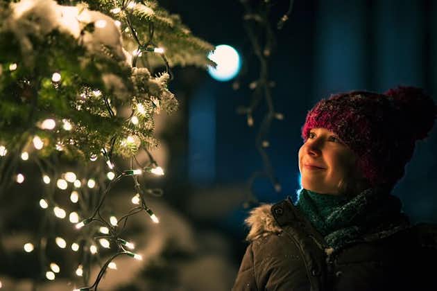 Geneva’s Winter Wonderland: A Festive Christmas Tour